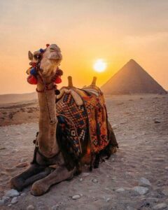 BUDGET PACKAGES 9 DAYS CAIRO-ASWAN-LUXOR-Alexanderia-white desert