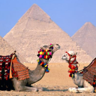 11 DAY EGYPT ITINERARY CAIRO AND ASWAN,LUXOR WITH DENDERA