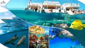 Marsa Alam Attractions