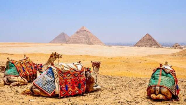 5 DAYS HOLIDAY PACKAGE TO CAIRO with ALEXANDRIA