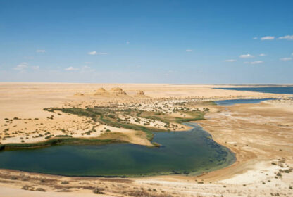 Fayoum Oasis and Wadi Al Hitan Day Trip from Cairo