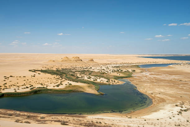 Fayoum Oasis and Wadi Al Hitan Day Trip from Cairo