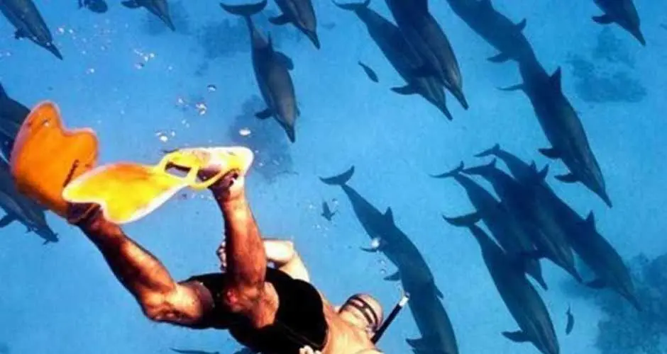 Budget 8 DAYS HURGHADA HOLIDAY PACKAGE WITH NILE CRUISE.