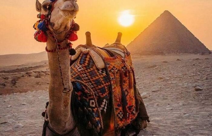 10 Day Egypt Itinerary Cairo with Nile cruise and white desert