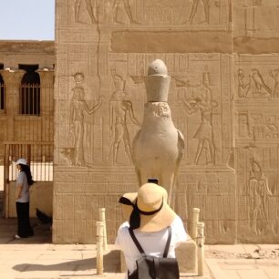 day trip to Edfu and Kom Ombo from Aswan