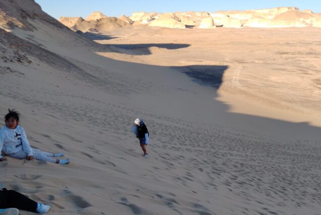 Over Day Tour To Bahariya Oasis Black And White Desert From Cairo