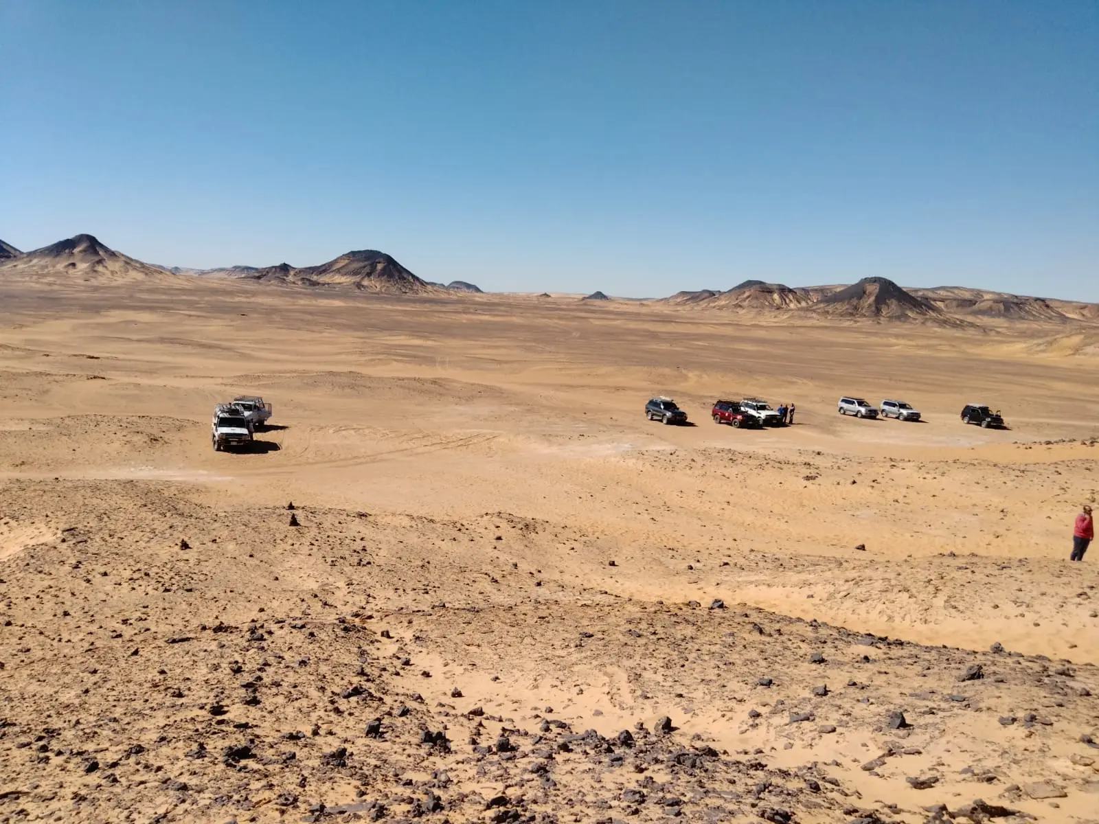 Over Day Tour To Bahariya Oasis Black And White Desert From Cairo