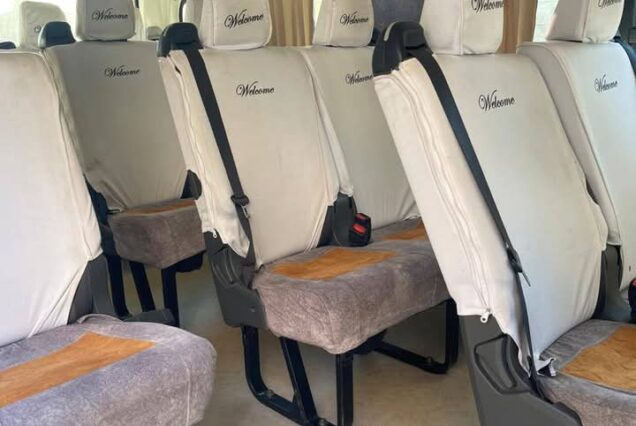 car with driver in Egyp